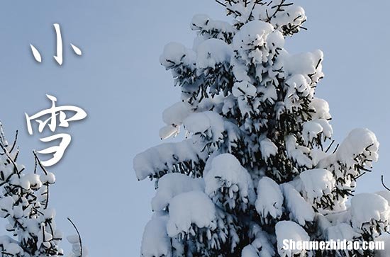 小雪是2023的几月几日 2023年小雪是举办成人仪式的好日子吗