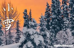 2023小雪是农历哪一天 2023年小雪适合乔迁吗