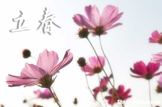 2024年2月4号立春是几点几分