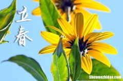 2024虎年立春是几点几分几秒