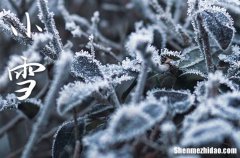 小雪节气是哪天2023