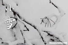 2023年节气小雪时间是什么时候