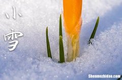 2023小雪节气具体时间 小雪是几月几日2023年