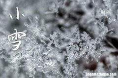 2023小雪节气一般什么温度 小雪节气是几月几日