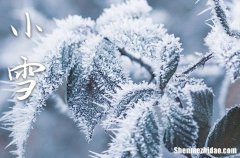 2023小雪节气能洗澡吗 小雪节气不可以做的事情有哪些