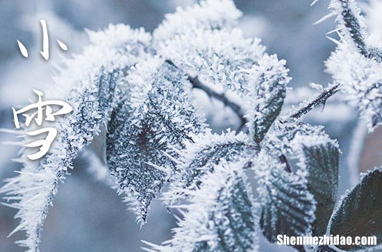 2023小雪节气能洗澡吗 小雪节气不可以做的事情有哪些