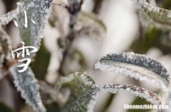 2023年小雪是几月几日 2023年11月22日是小雪吗