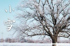 2023年11月份节气到小雪是什么天气 2023冬天小雪气温黑白应该是多少温度
