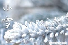 2023年农历几号小雪 2023年小雪是安装大门门框吉日吗