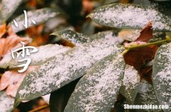 2023年小雪是什么时候时间 2023年小雪弄结婚领证可以吗