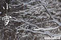 2023年小雪时间是什么时候 2023小雪入棺好吗