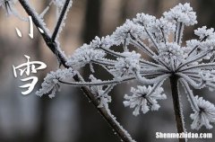 2023年小雪是什么时候 2023年小雪可以作梁吗