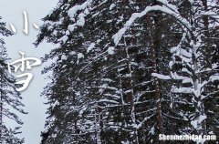 2023年小雪是哪一天 2023年小雪是入土吉日吗