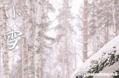 2023年小雪是什么时候时间 2023年小雪弄入宅好吗
