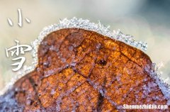 小雪时节各方面养生注意事项