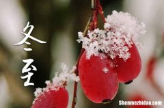 冬至时节吃汤圆是哪里的习俗