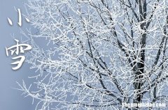 2023年小雪是几月几日 2023年小雪弄安装大门门框好不好