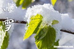 小雪是2023的几月几日 2023年小雪是动土修造吉日吗