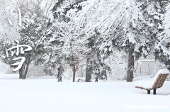 小雪是几月几号2023年 2023年小雪适合安葬吗