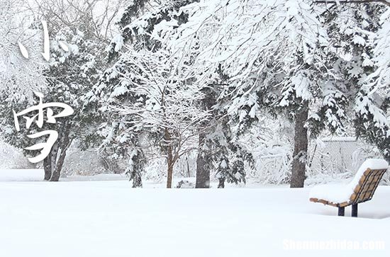 小雪是几月几号2023年 2023年小雪适合安葬吗