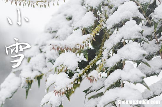 2023年小雪是什么时候 2023年小雪办寿宴行不行