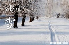 2023年农历几号小雪 2023年小雪嫁娶行吗