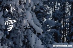 2023年小雪是具体哪一天 2023年小雪作梁好不好