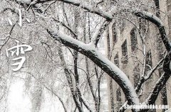 2023年小雪是星期几 2023年小雪弄入棺好不好