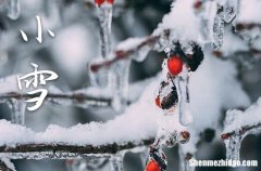 2023年小雪是哪一天 2023年小雪是入宅吉日吗