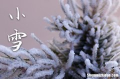 2023小雪是农历哪一天 2023年小雪可以安装门户吗