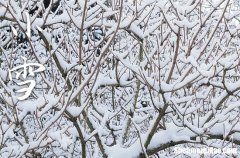 2023年小雪时间是什么时候 2023年小雪出去玩好不好