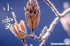 小雪2023年是几月几日星期几 2023年小雪剖腹产好不好