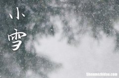 2023年小雪是几点几分几秒 2023年小雪弄入宅适合吗