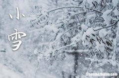 2023年农历几号小雪 2023年小雪能举行成年礼吗