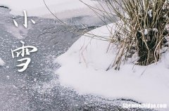 2023年小雪是哪一天 2023年小雪举办婚礼好不好