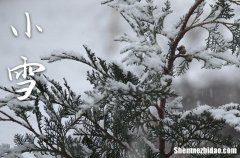 2023年小雪是具体哪一天 2023年小雪结婚领证行吗
