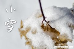 2023年小雪是什么时候时间 2023年小雪上梁合适吗