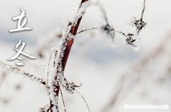 2023年立冬是哪一天 2023年立冬拆迁行吗