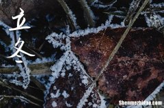 2023年立冬几月几日 2023年立冬迁坟合适吗