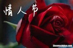 2024年情人节禁忌干什么事 2024年情人节是结婚领证吉日吗