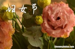 2024年3.8妇女节放假吗 2024三八妇女节放假是法定的吗