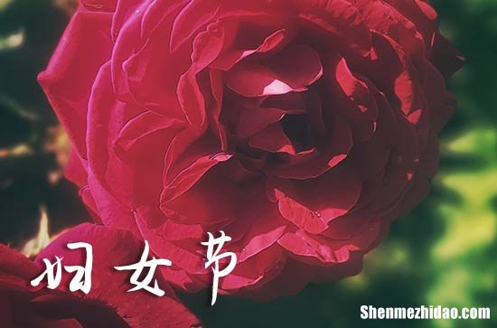 2024是第几多少个妇女节 2024年三八妇女节是第几个