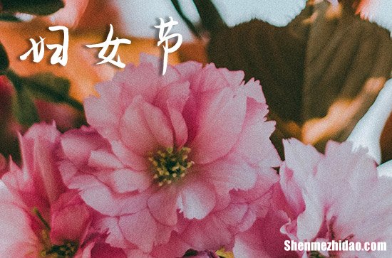 2024妇女节哪一天 2024三八妇女节是几月几号星期几