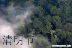 2024年清明节是什么时候