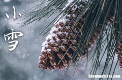 2023年小雪是多少号 2023年小雪适合安床吗
