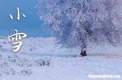 2023小雪是农历哪一天 2023年小雪弄办寿宴可以吗