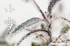 2023年小雪是哪一天 2023年小雪弄剖腹产可以吗