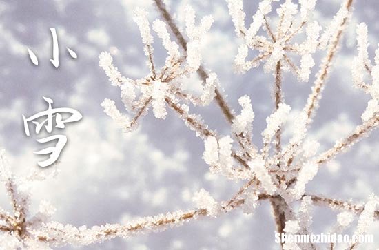 2023年小雪是哪一天 2023年小雪能安置床铺吗