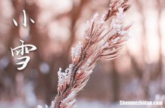 2023小雪是农历哪一天 2023年小雪安葬行不行