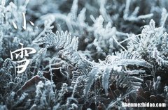 2023年今年小雪是几月几号 2023年小雪能乔迁新居吗